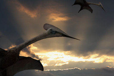 Low angle view of silhouette bird flying against sky during sunset