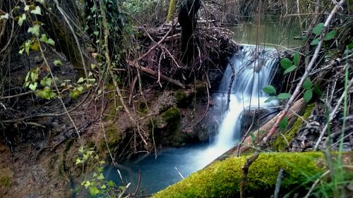 River flowing through rocks