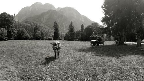 Full length of woman standing on field
