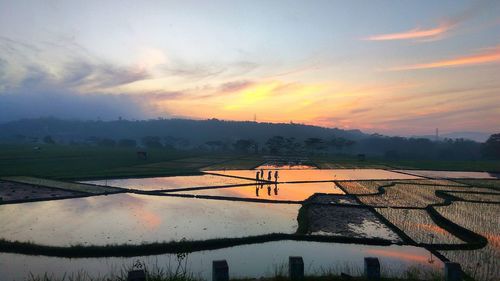 Scenic view of field against sky during sunset