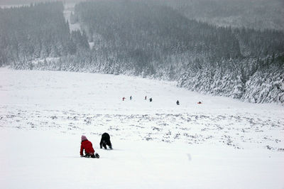 People enjoying on snow field
