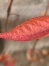 Close-up of abstract background