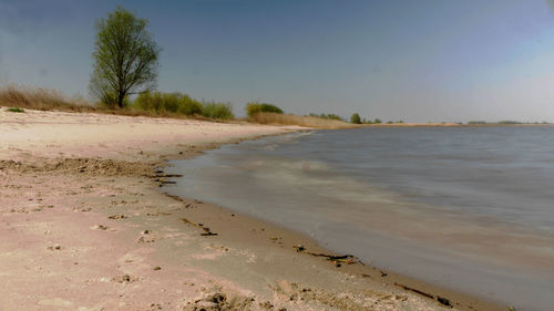 Scenic view of beach against clear sky