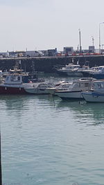 Sailboats moored at harbor