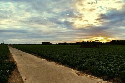 Scenic view of field against sky during sunset