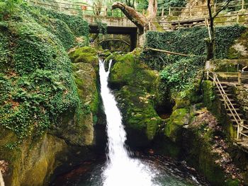 Scenic view of waterfall in forest