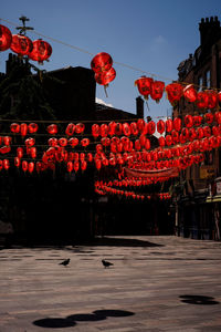 Red lanterns hanging in row against sky with two pigeons on ground 