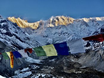 Horses of wind in annapurna 