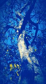 Bare trees against blue sky