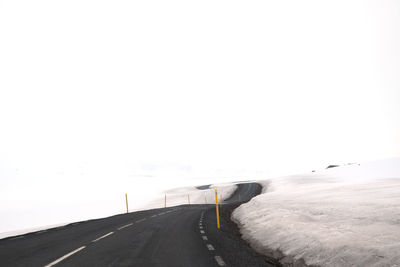 Road along trees