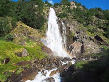 Scenic view of waterfall in forest