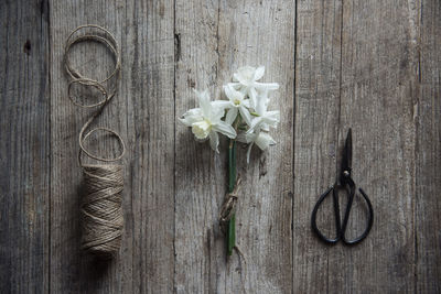 Directly above shot of flowers and scissors on table