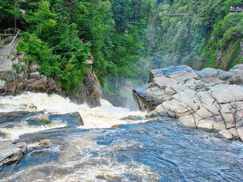 Stream flowing through rocks in forest