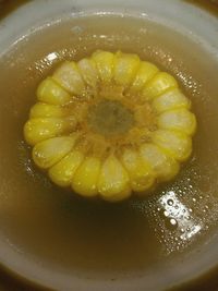 Close-up of lemon slice in plate