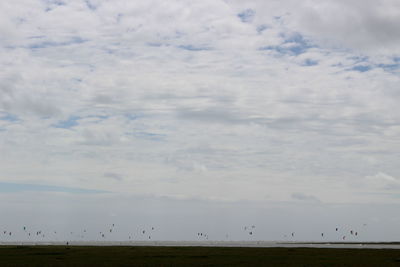 Flock of sheep on grass against sky