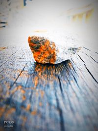 High angle view of leaf on table