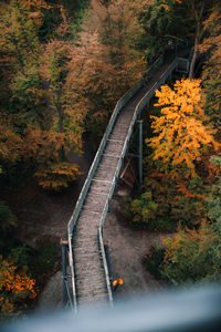 High angle view of bridge in forest