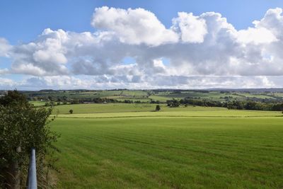 Scenic view of grassy landscape against cloudy sky