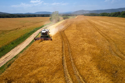 Aerial view of a combine harvester at work during harvest time. agricultural background.