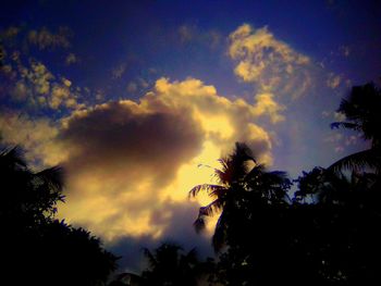 Low angle view of silhouette trees against dramatic sky