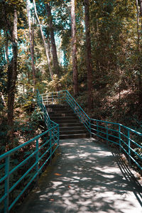 Footbridge amidst trees in forest