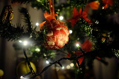 Close-up of christmas tree