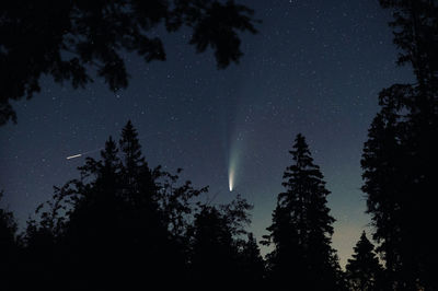 Low angle view of silhouette trees against sky at night