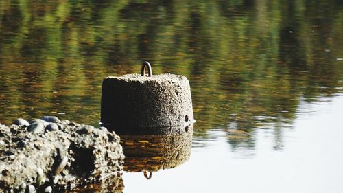 Bird perching on wooden post in lake