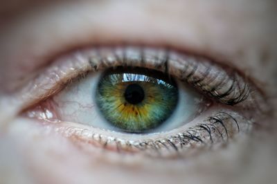 Extreme close-up of human eye