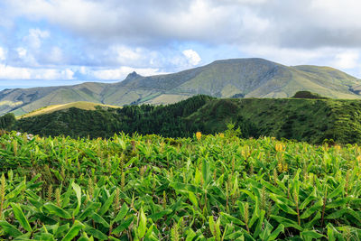 Scenic view of mountains against sky