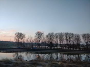 Reflection of bare trees in water