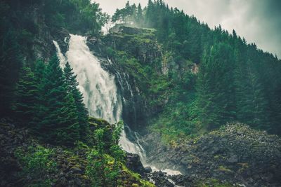 Scenic view of waterfall in forest