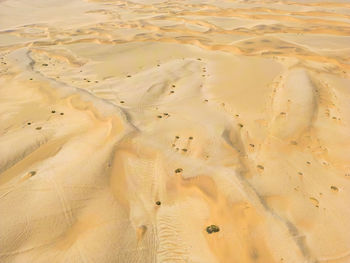 High angle view of footprints on sand at beach