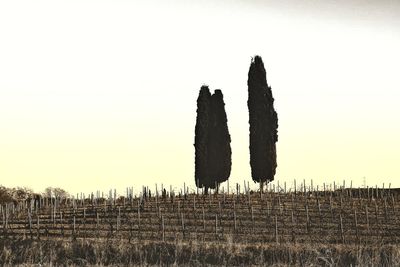 Wooden posts on field against clear sky