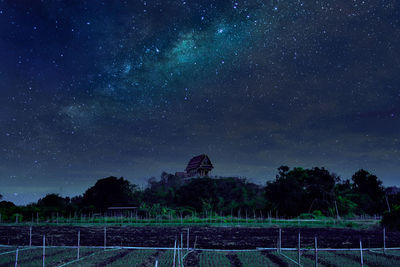 Scenic view of trees against star field at night