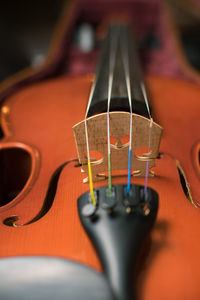 Close-up of violin