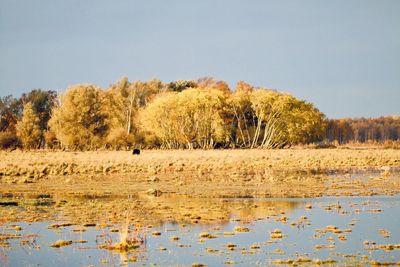 Scenic view of lake against clear sky