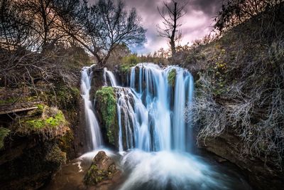 Scenic view of waterfall in forest