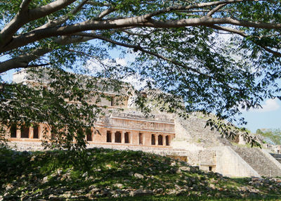 Trees in front of historical building