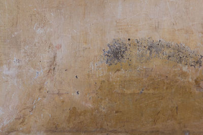 Full frame shot of textured wall