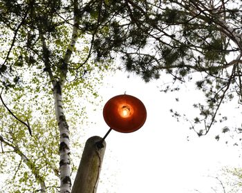 Low angle view of street light against sky