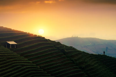 Scenic view of agricultural field against sky during sunset