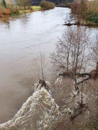 High angle view of river flowing amidst trees