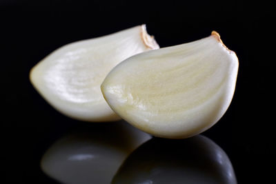 Close-up of shell against black background