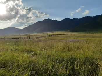 Scenic view of field against sky