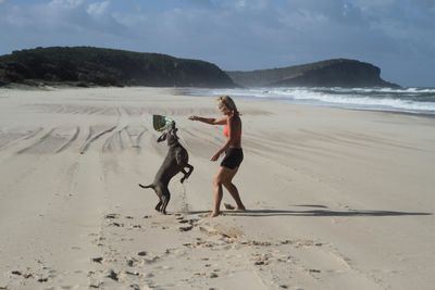 Full length of woman playing with dog at sandy beach on sunny day