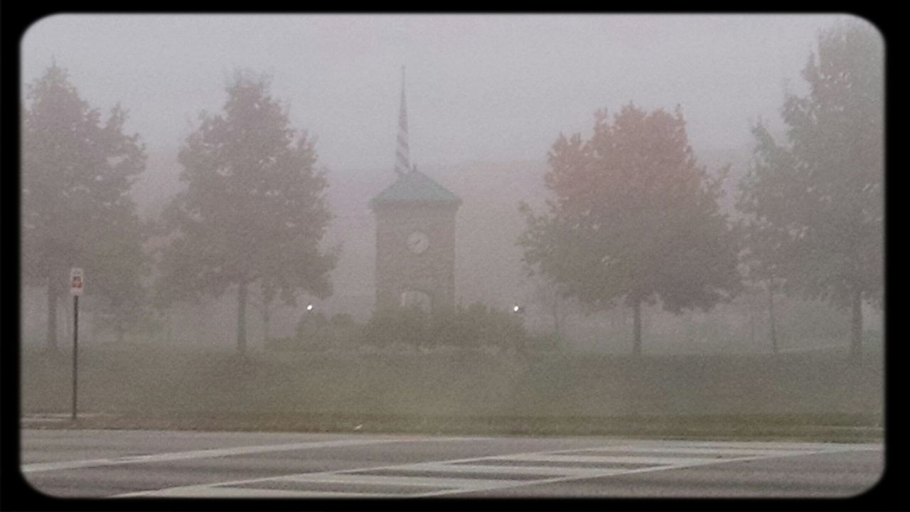 transfer print, tree, auto post production filter, road, transportation, weather, built structure, fog, street, sky, building exterior, architecture, bare tree, season, glass - material, no people, street light, outdoors, day