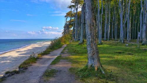 Scenic view of beach against sky