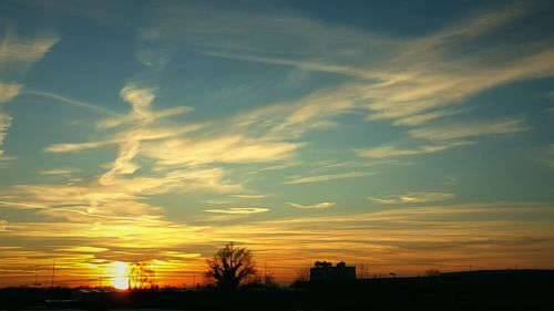 Silhouette of trees against sunset sky