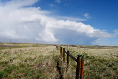 Scenic view of agricultural field against sky